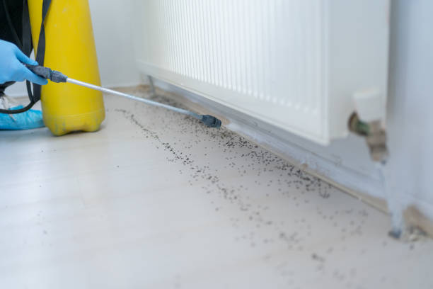 North Branch, MI Pest Control Company