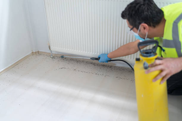 Pest Control for Restaurants in North Branch, MI